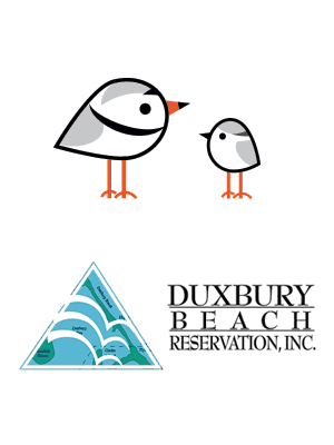 Duxbury Beach Nesters